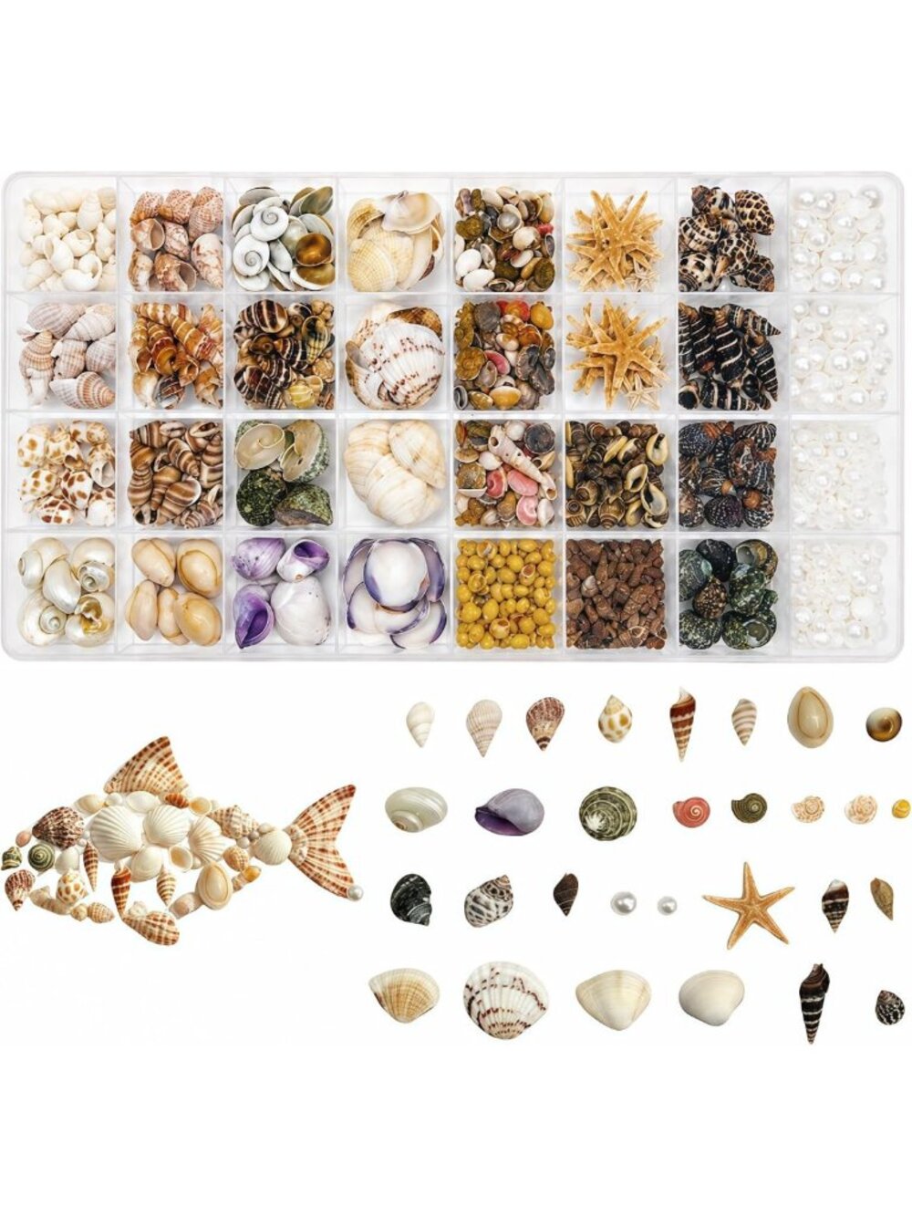 1200pcs Mini Seashells for DIY Crafts, Beach Decor, and Creative Projects